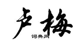 胡問遂盧梅行書個性簽名怎么寫