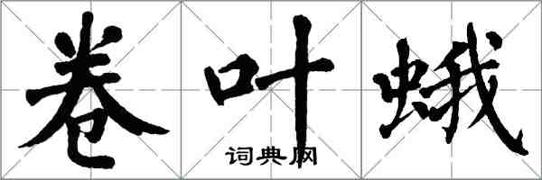 翁闓運捲葉蛾楷書怎么寫