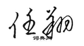 駱恆光任翔草書個性簽名怎么寫