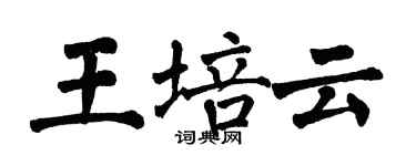 翁闓運王培雲楷書個性簽名怎么寫
