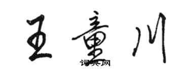 駱恆光王童川行書個性簽名怎么寫