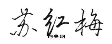 駱恆光蘇紅梅行書個性簽名怎么寫