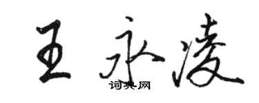 駱恆光王永凌行書個性簽名怎么寫