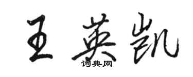 駱恆光王英凱行書個性簽名怎么寫