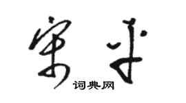 駱恆光宋平草書個性簽名怎么寫