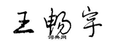 曾慶福王暢宇行書個性簽名怎么寫