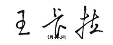 駱恆光王卡拉草書個性簽名怎么寫