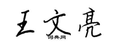 王正良王文亮行書個性簽名怎么寫