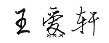 駱恆光王愛軒行書個性簽名怎么寫