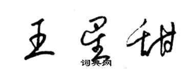 梁錦英王星甜草書個性簽名怎么寫