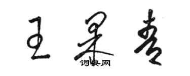 駱恆光王果青草書個性簽名怎么寫