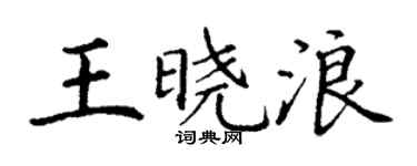 丁謙王曉浪楷書個性簽名怎么寫