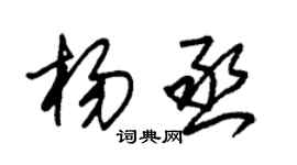 朱錫榮楊丞草書個性簽名怎么寫