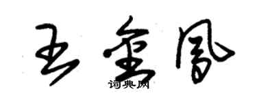 朱錫榮王金鳳草書個性簽名怎么寫