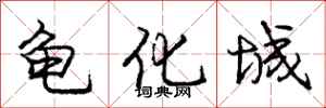 龐中華龜化城行書怎么寫