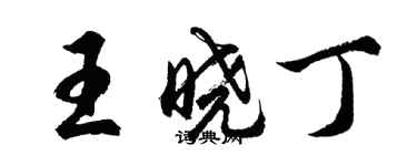 胡問遂王曉丁行書個性簽名怎么寫