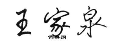 駱恆光王家泉行書個性簽名怎么寫