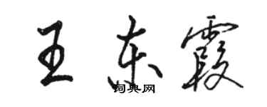 駱恆光王東霞行書個性簽名怎么寫