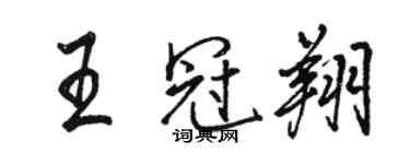 駱恆光王冠翔行書個性簽名怎么寫