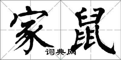 翁闓運家鼠楷書怎么寫