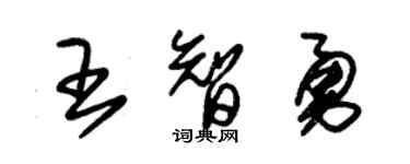 朱錫榮王智勇草書個性簽名怎么寫