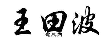 胡問遂王田波行書個性簽名怎么寫