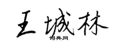 王正良王城林行書個性簽名怎么寫