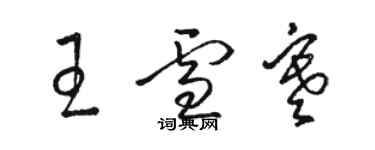 駱恆光王雪寒草書個性簽名怎么寫