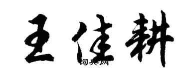 胡問遂王佳耕行書個性簽名怎么寫