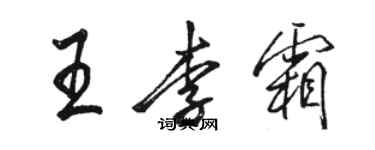 駱恆光王李霜行書個性簽名怎么寫