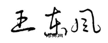 曾慶福王東風草書個性簽名怎么寫