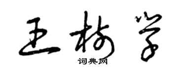 曾慶福王樹學草書個性簽名怎么寫