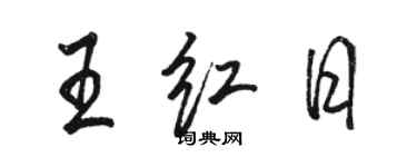 駱恆光王紅日行書個性簽名怎么寫