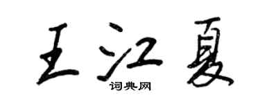 王正良王江夏行書個性簽名怎么寫