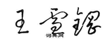 駱恆光王雪鋼草書個性簽名怎么寫