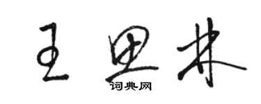 駱恆光王思林草書個性簽名怎么寫