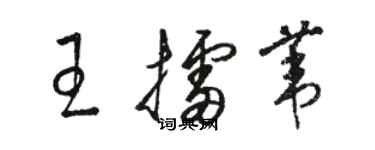 駱恆光王擂葦草書個性簽名怎么寫