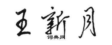 駱恆光王新月行書個性簽名怎么寫