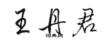 駱恆光王丹君行書個性簽名怎么寫