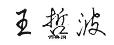 駱恆光王哲波行書個性簽名怎么寫