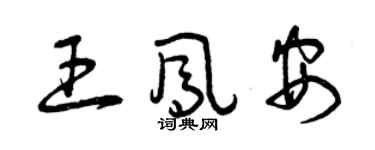 曾慶福王鳳安草書個性簽名怎么寫