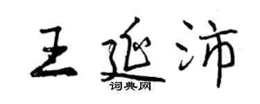 曾慶福王延沛行書個性簽名怎么寫