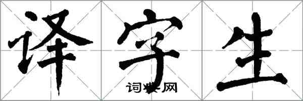 翁闓運譯字生楷書怎么寫