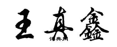 胡問遂王真鑫行書個性簽名怎么寫