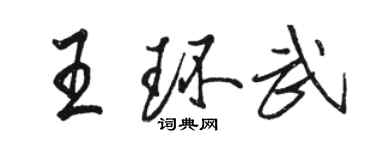 駱恆光王環武行書個性簽名怎么寫