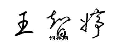 梁錦英王智婷草書個性簽名怎么寫