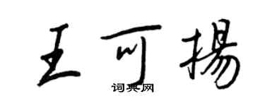王正良王可揚行書個性簽名怎么寫