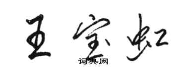 駱恆光王寶虹行書個性簽名怎么寫