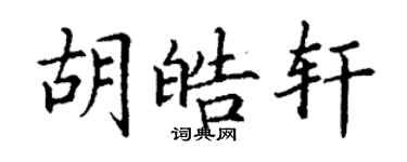 丁謙胡皓軒楷書個性簽名怎么寫