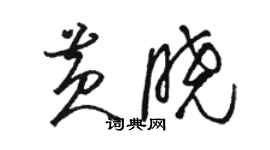 駱恆光黃曉草書個性簽名怎么寫